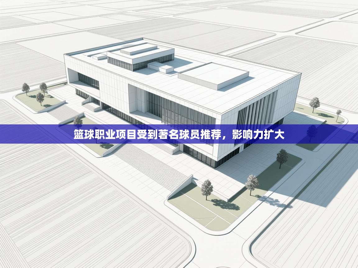 篮球职业项目受到著名球员推荐，影响力扩大  第2张