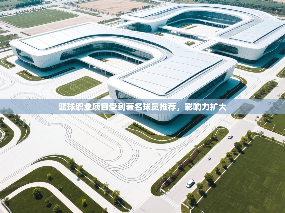 篮球职业项目受到著名球员推荐，影响力扩大  第1张