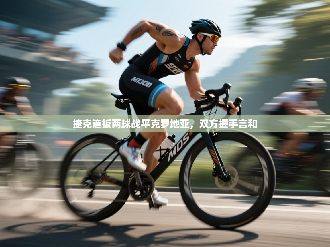 捷克连扳两球战平克罗地亚,双方握手言和 第2张