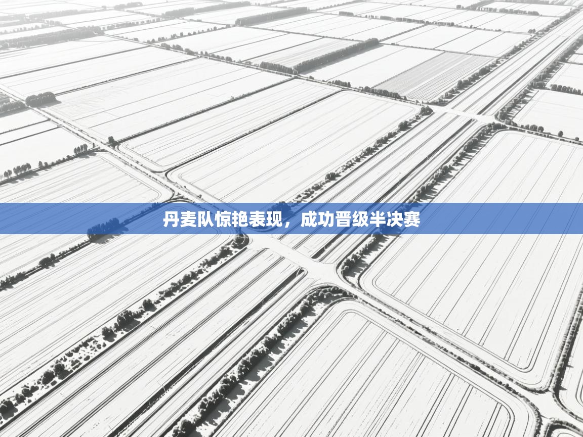 丹麦队惊艳表现，成功晋级半决赛  第2张