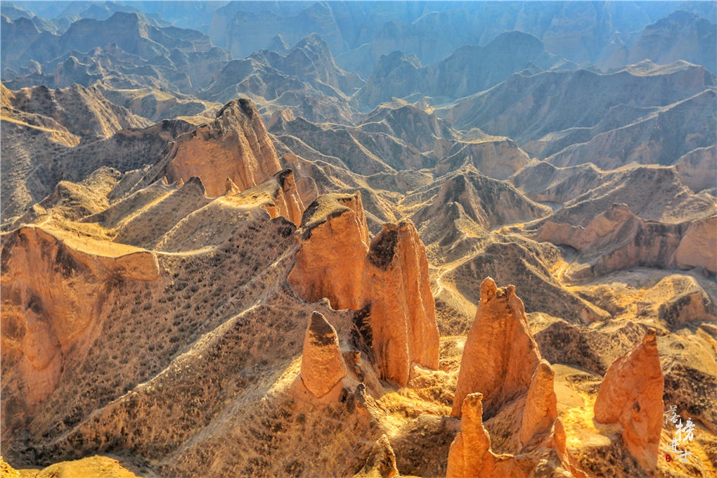 米乐体育在线观看-甘肃育民雄狮主场逆袭，豪夺胜利